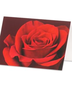 Karte/ Rote Rose