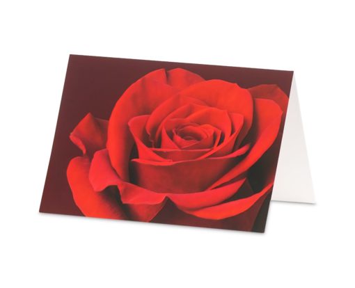 Karte/ Rote Rose