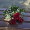 Rote Rosen