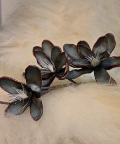 Magnolien Blüte