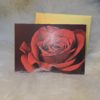 Karte/ Rote Rose