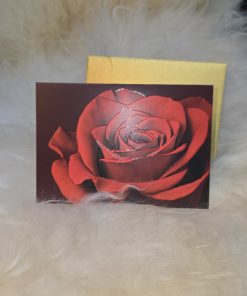 Karte/ Rote Rose